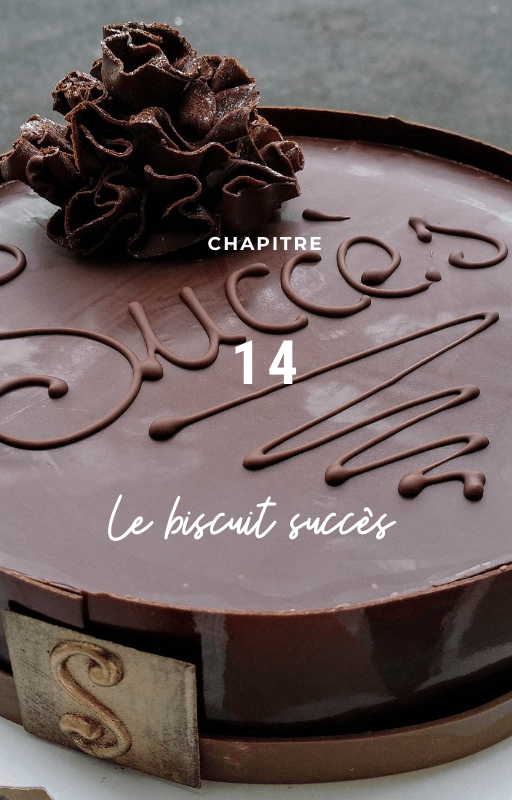 Chapitre 14, le biscuit succès