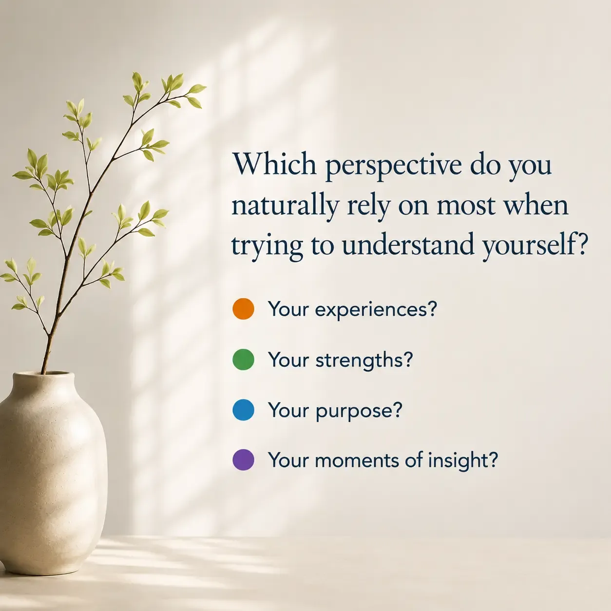 Reflection card asking which perspective you rely on most: your experiences, your strengths, your purpose, or your moments of insight