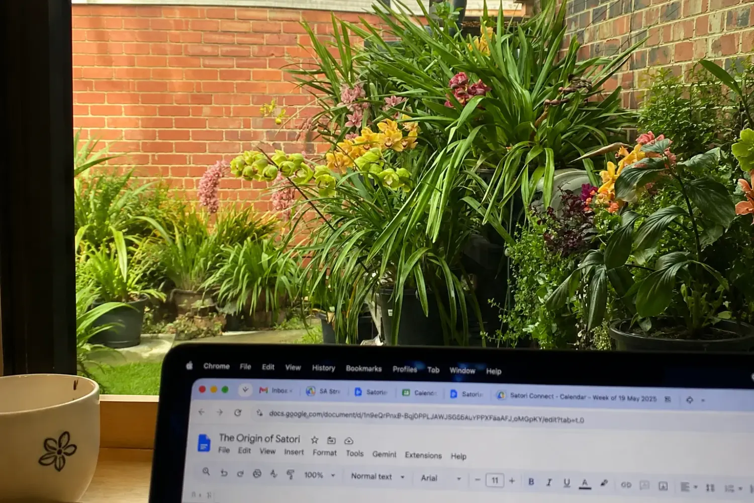 The view from my office window, with orchids I've nurtured by hand, a gift passed down from my dad