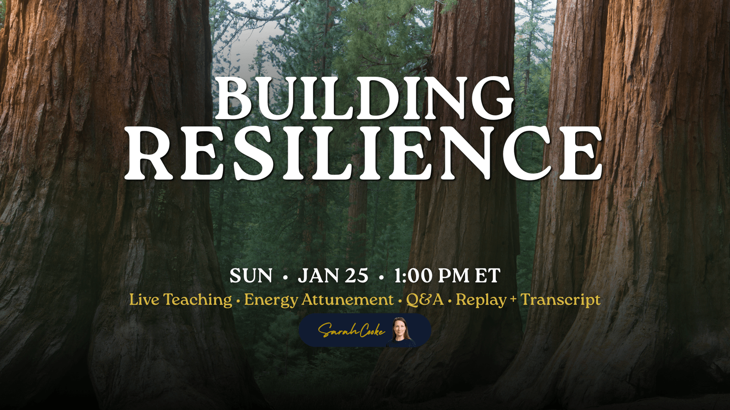 Image of a person walking through darkness toward a bright sun. Title: Navigating Fear. Event Details: Sun Nov 23, 1pm EST. Hosted by Sarah Cooke. 