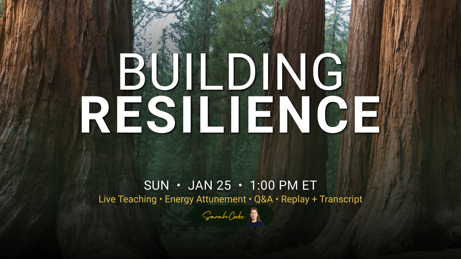 Promotional cover for 'Building Resilience’ live channeling event with giant redwood trees and event title text.