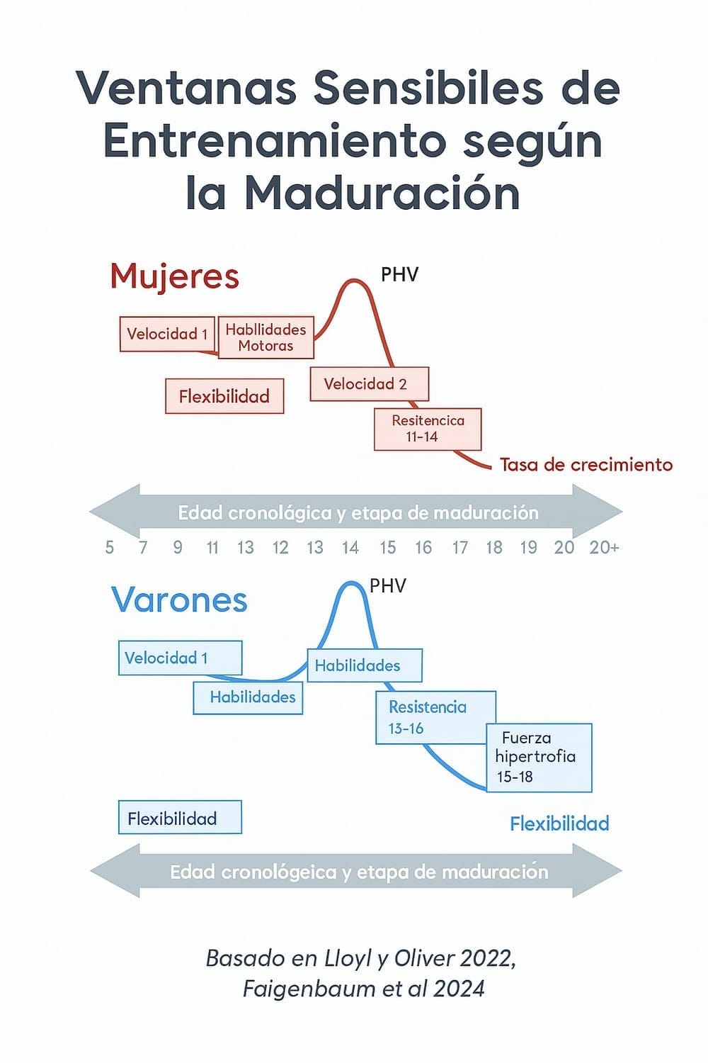 La ciencia detrás del PHV: más que números en una gráfica