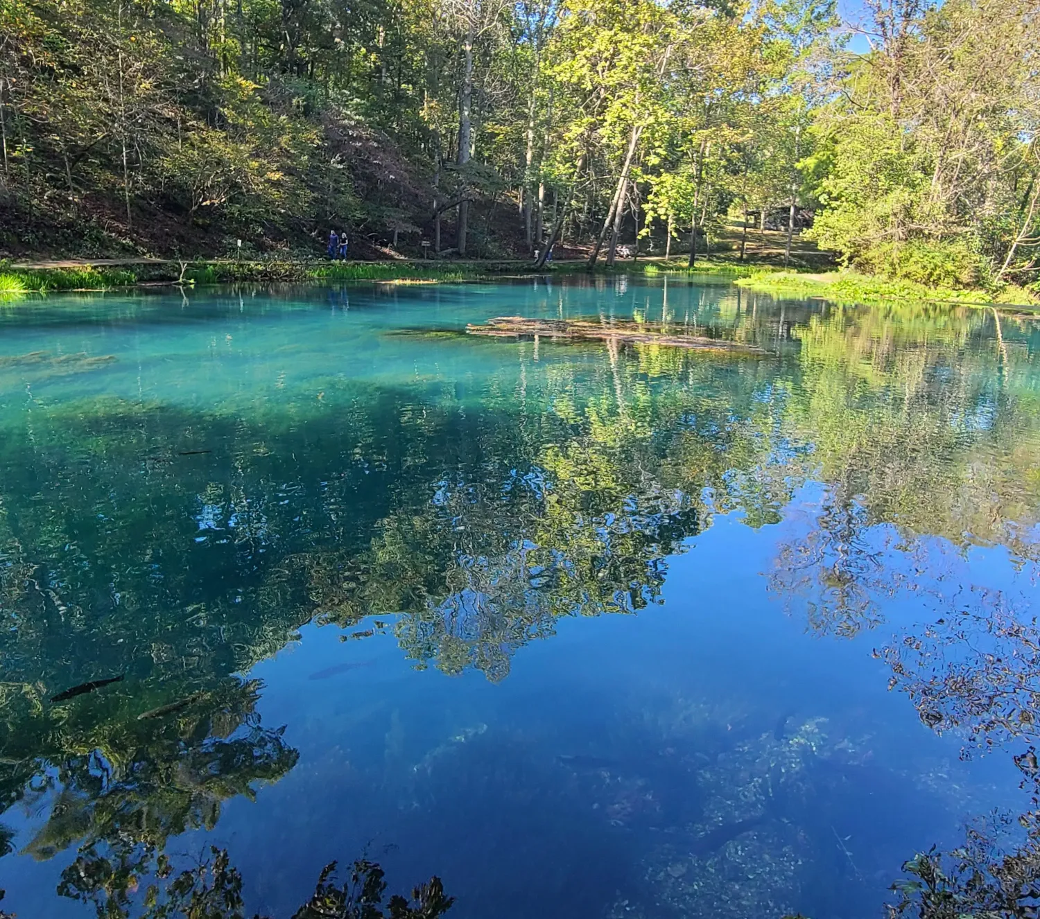 Meramec Spring Park, St James, Missouri