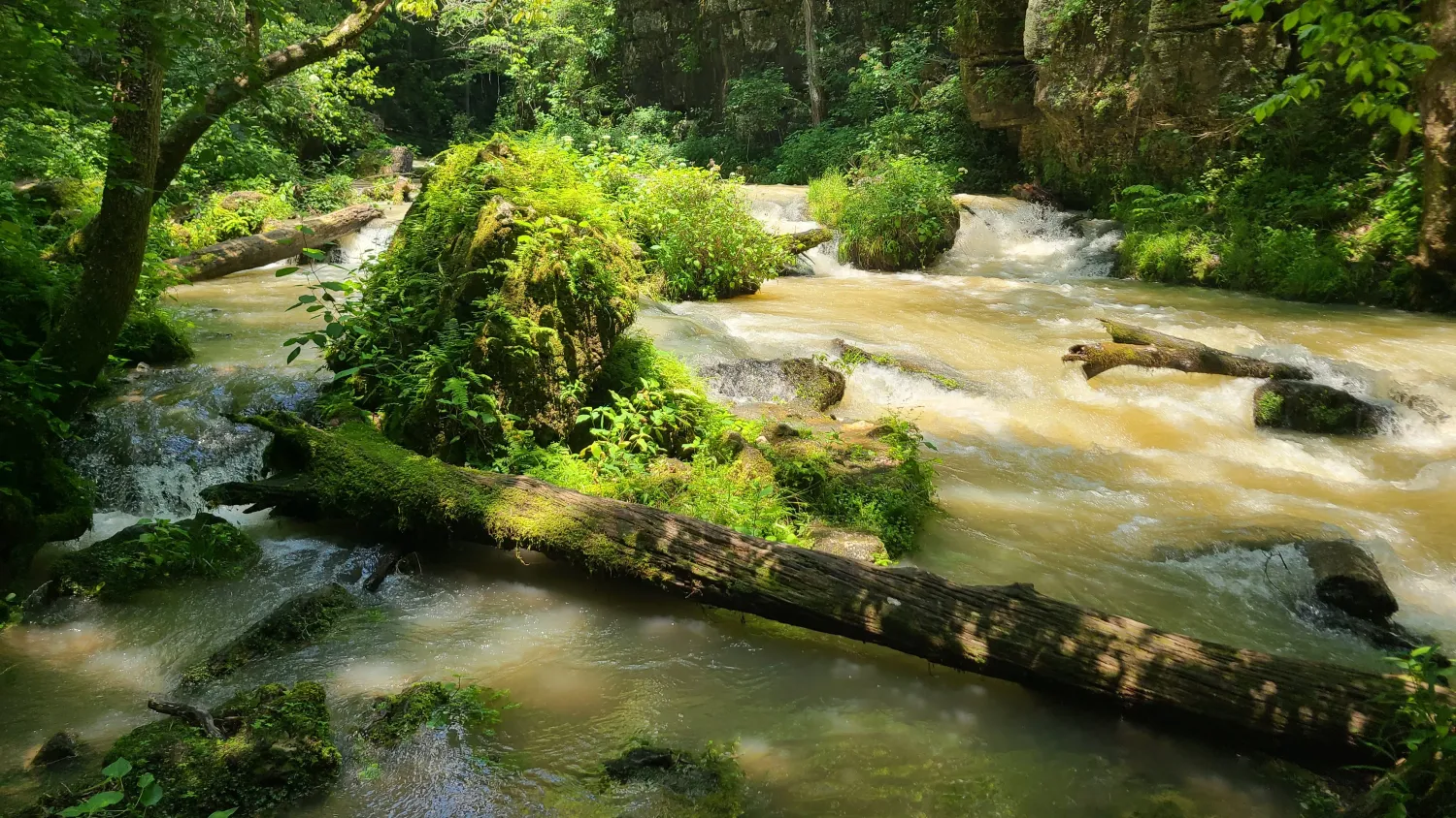 Greer Spring, Alton, Missouri near Eminence