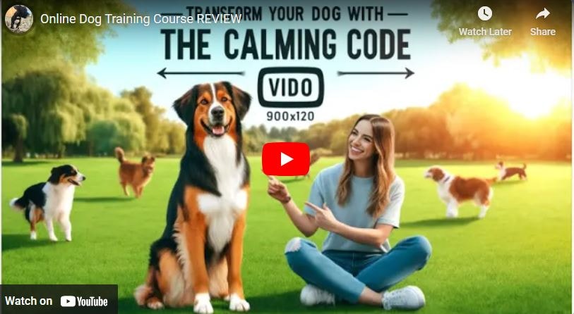 Dog training