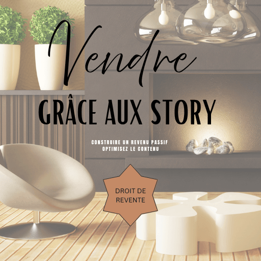 Vendre grâce aux Story