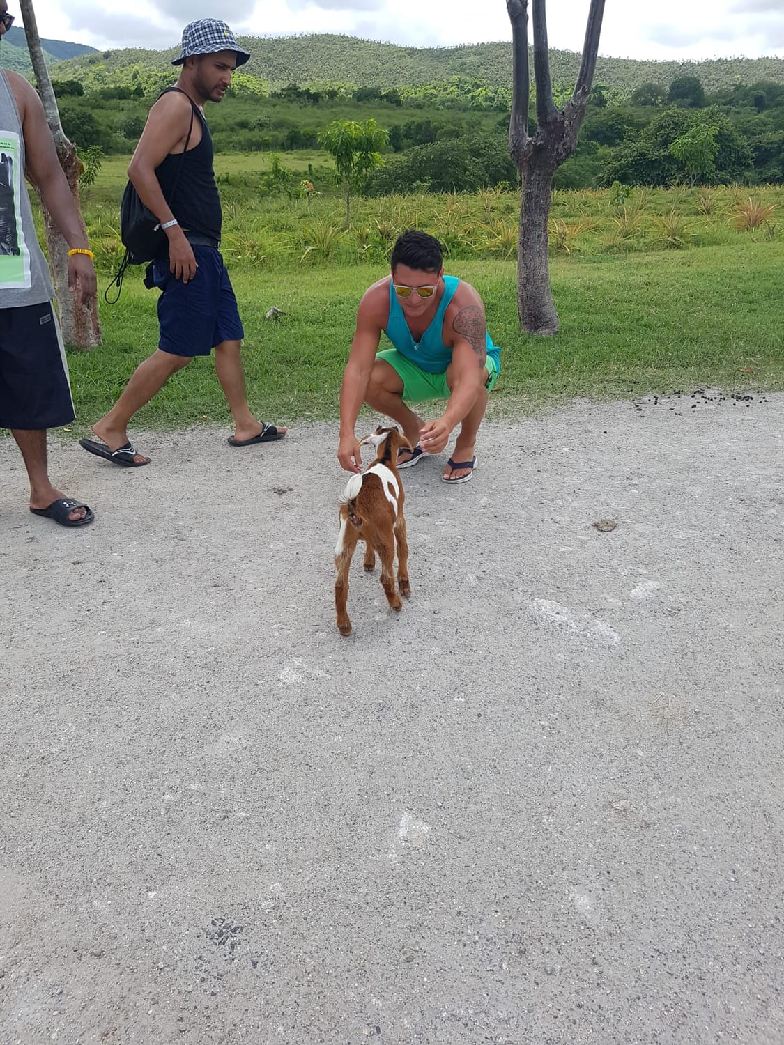 Autor del curso Quantum Emotion disfrutando de un momento de relajación en la naturaleza, rodeado de animales en un entorno tranquilo. Esta imagen refleja la conexión con el bienestar emocional y la serenidad que se promueve en el curso.