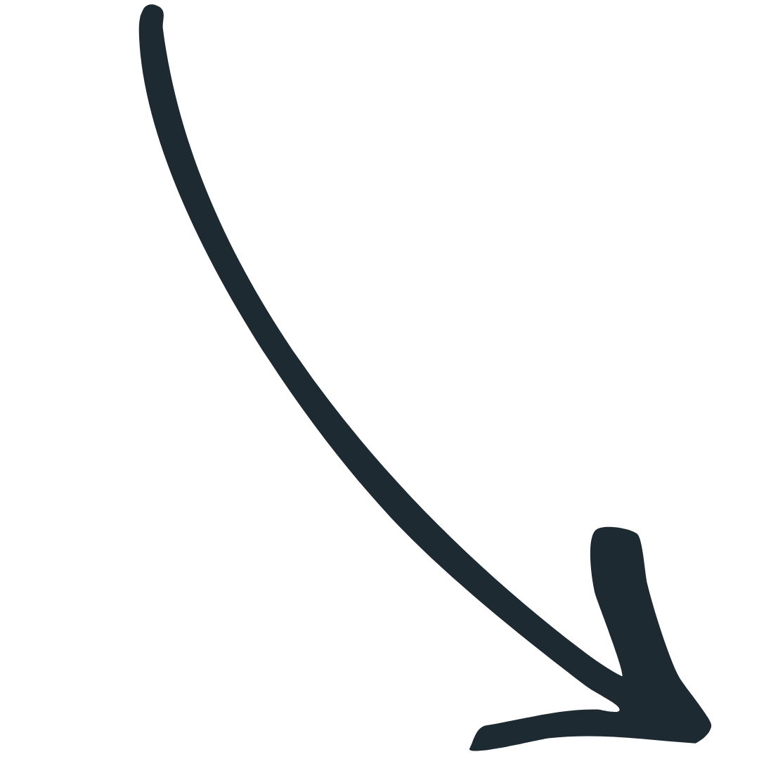 Flèche de transition entre les sections revenu complémentaire et immobilisme sur la page BienAvoir Sunrider