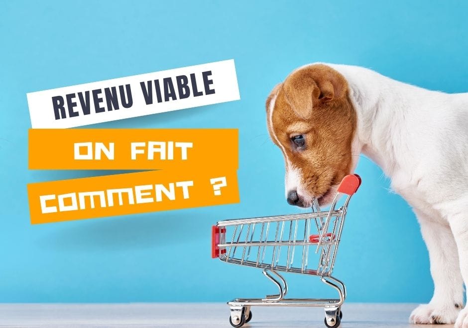 Petit chien curieux devant un mini-chariot d'épicerie, avec le texte : revenu viable, on fait comment ?