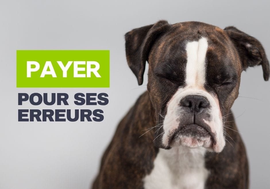 Chien boxer à l'air penaud, avec le texte : payer pour ses erreurs
