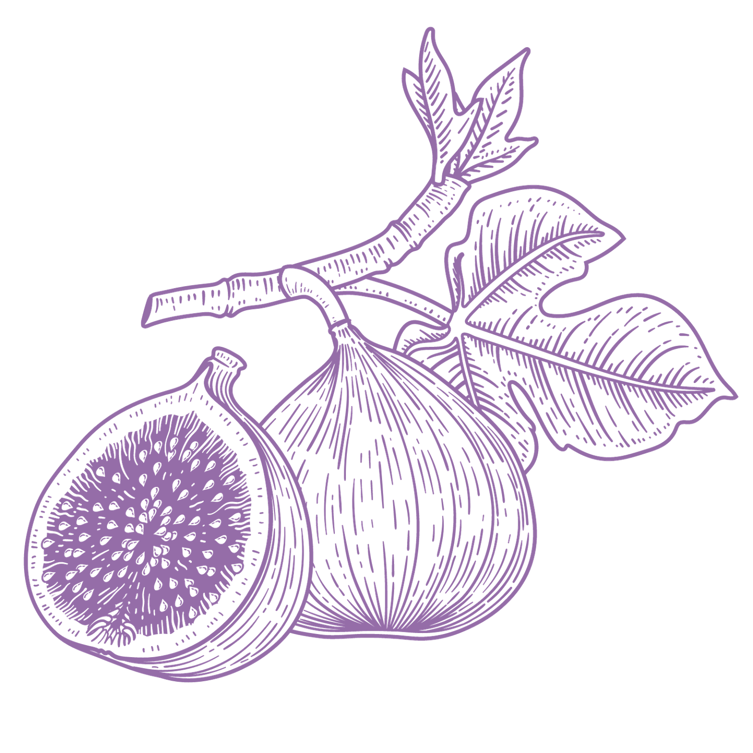 fig