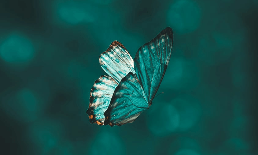 Audio Guide for Self-Hypnosis