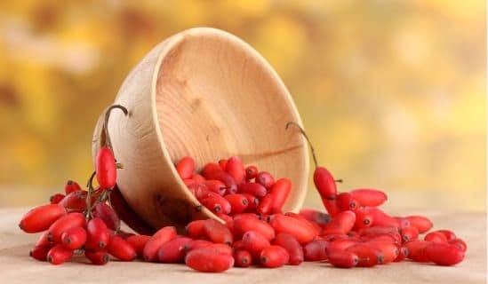 Berberine-rich plant extract