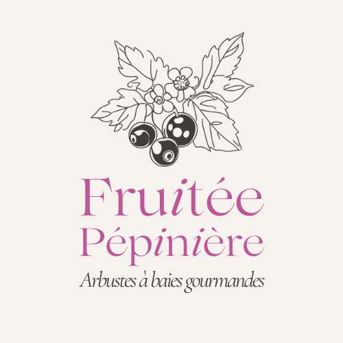 Fruitée