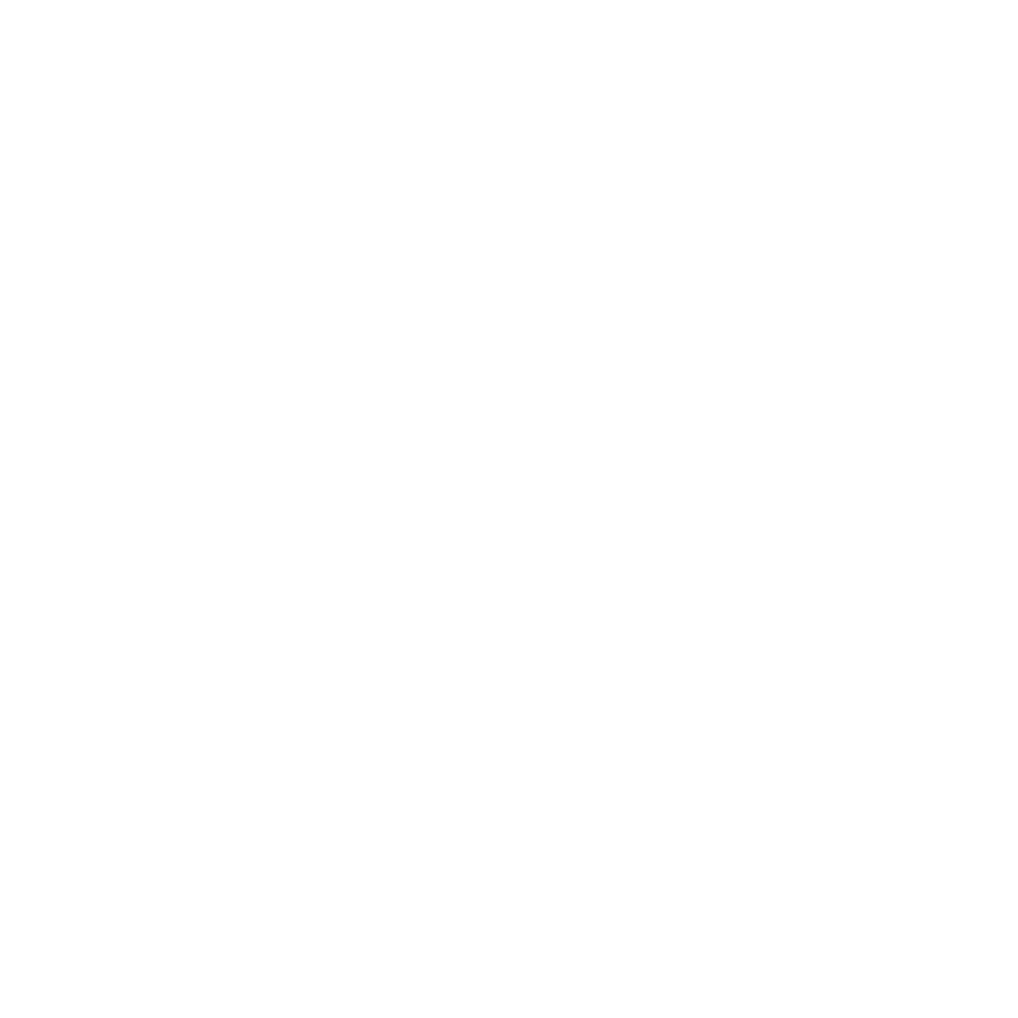 BTX Internship Logo