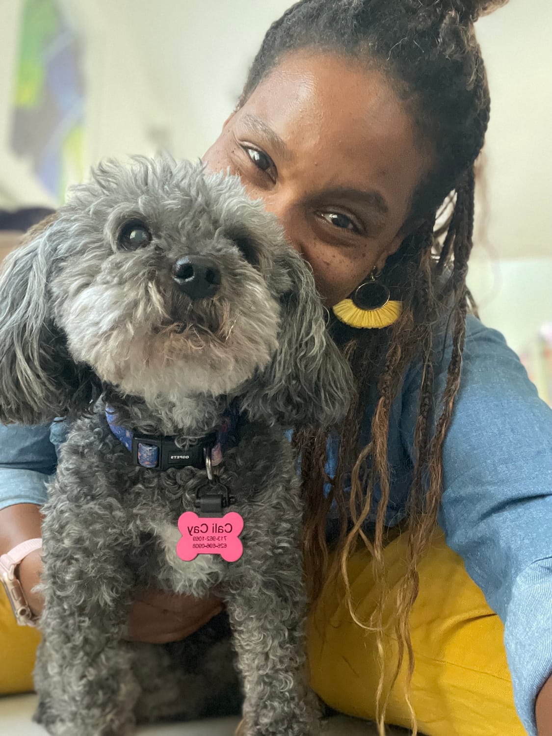 brandi daniels wander wealth creators house sitter academy