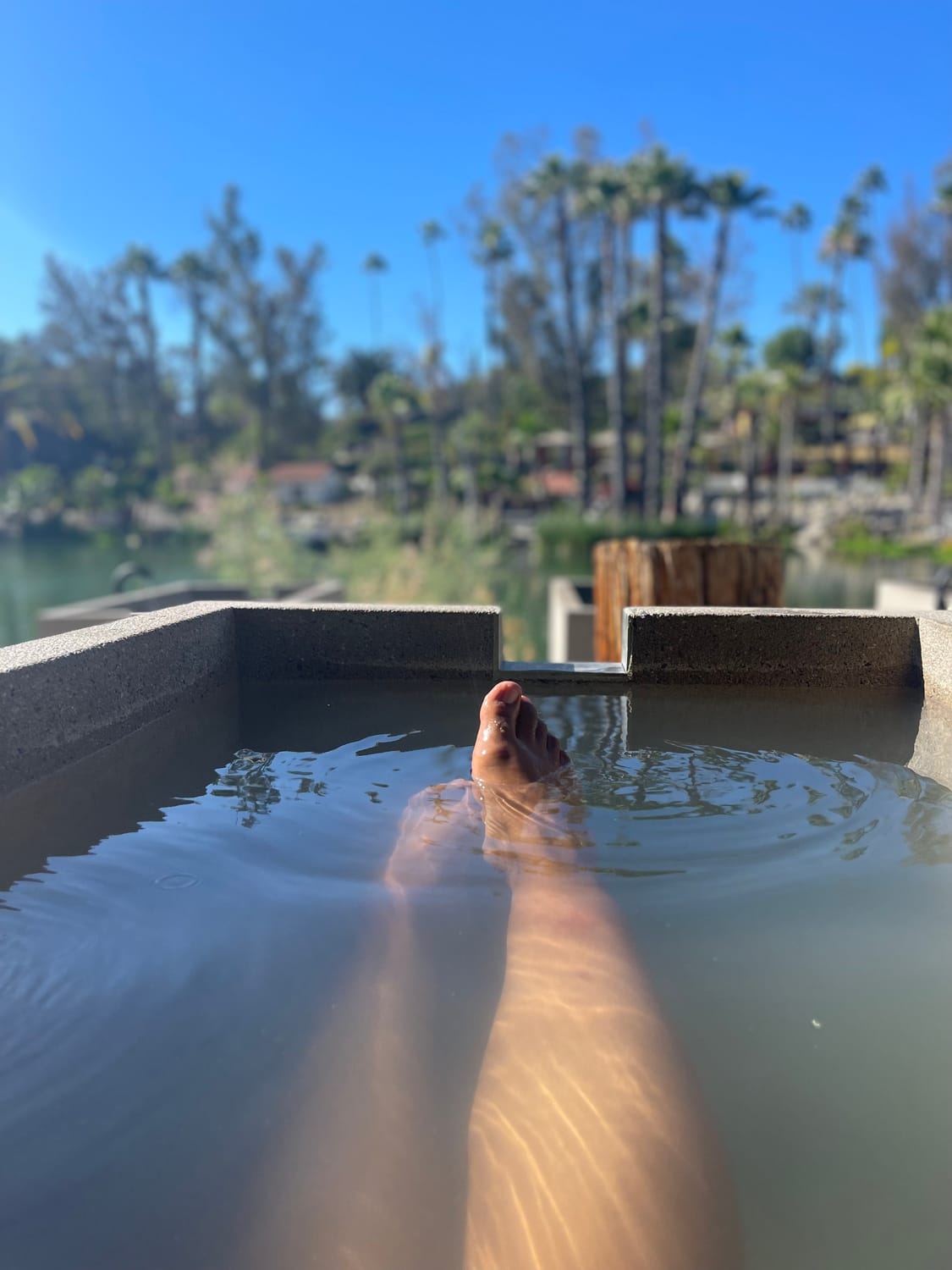 brandi daniels wander wealth creators house sitter academy