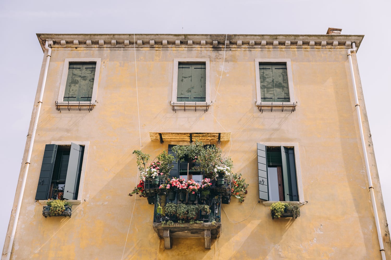 brandi daniels wander wealth creators house sitter academy