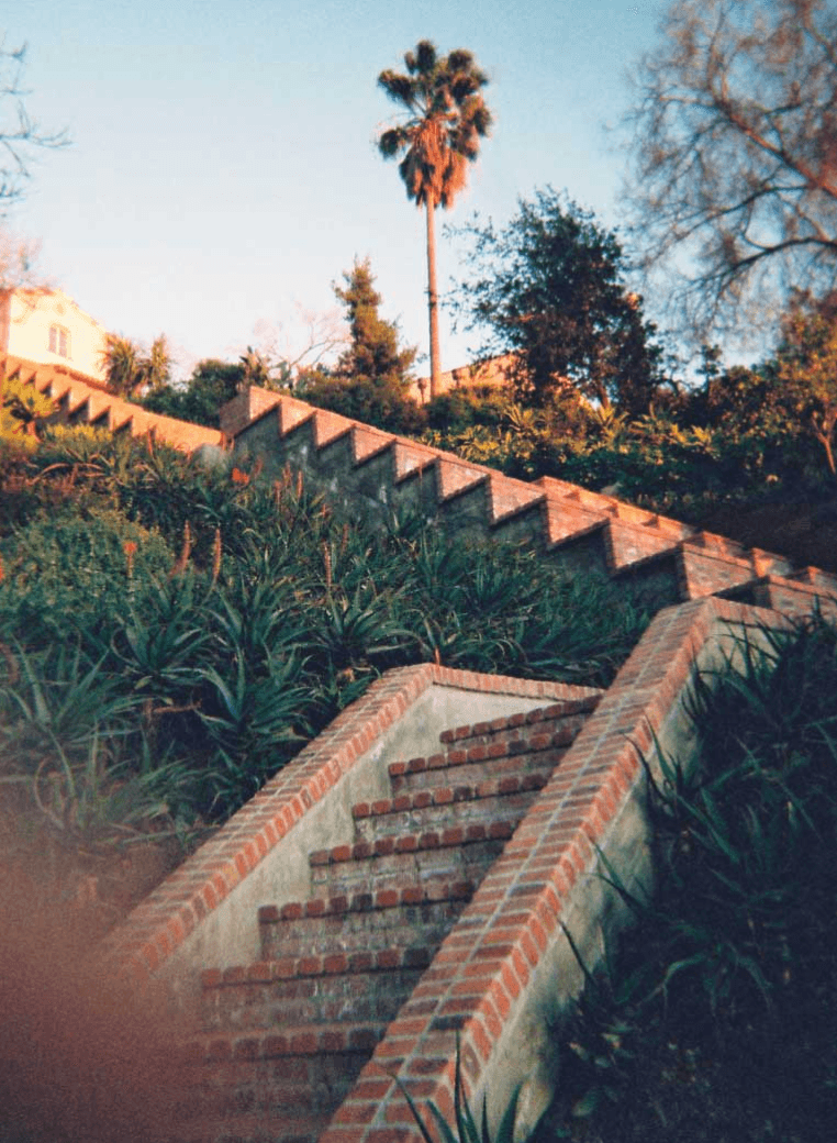 brandi daniels wander wealth creators house sitter academy