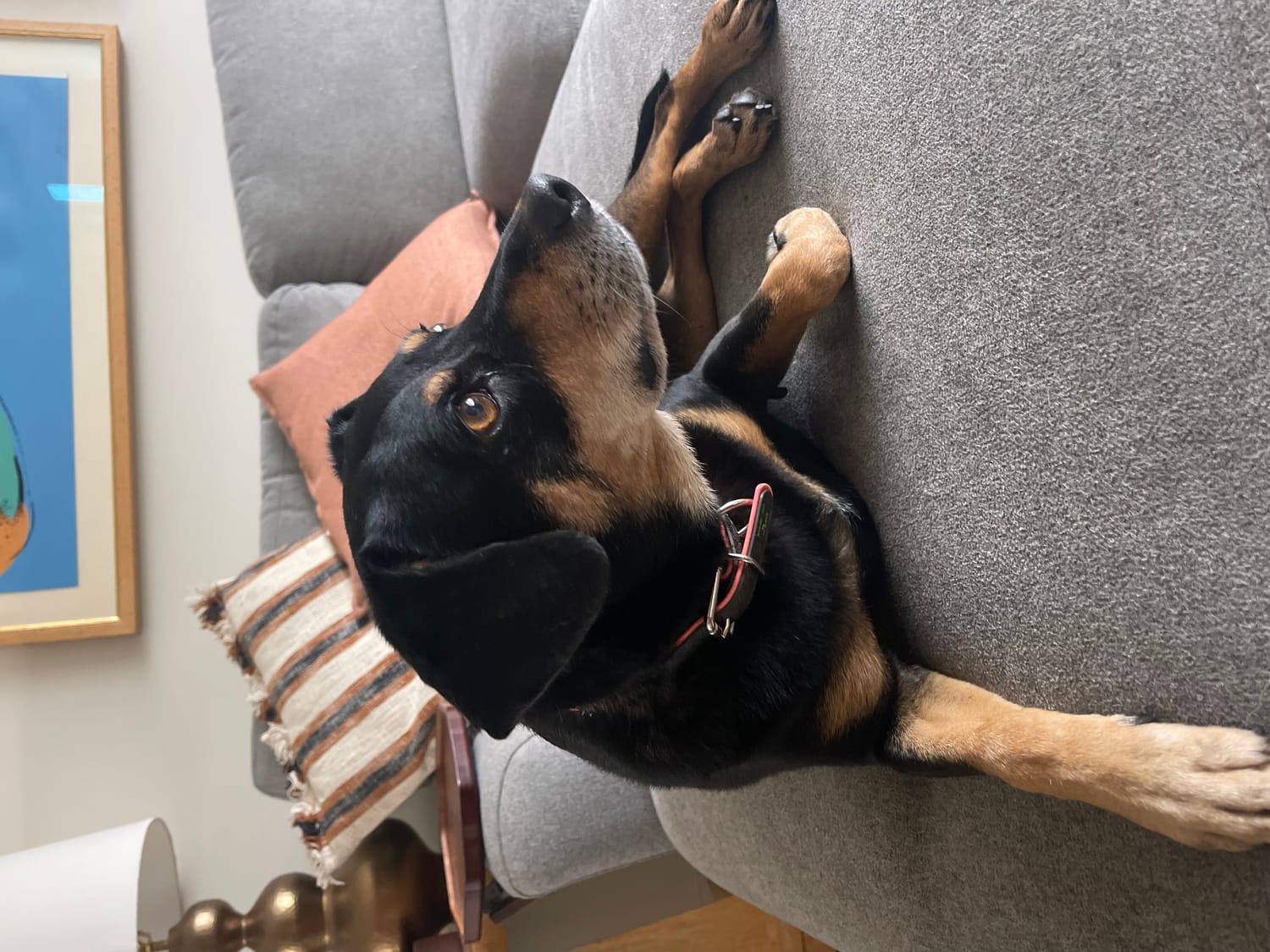 brandi daniels wander wealth creators house sitter academy