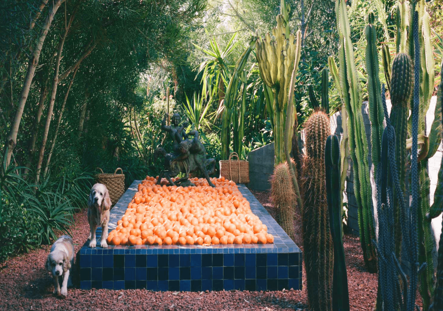 brandi daniels wander wealth creators house sitter academy