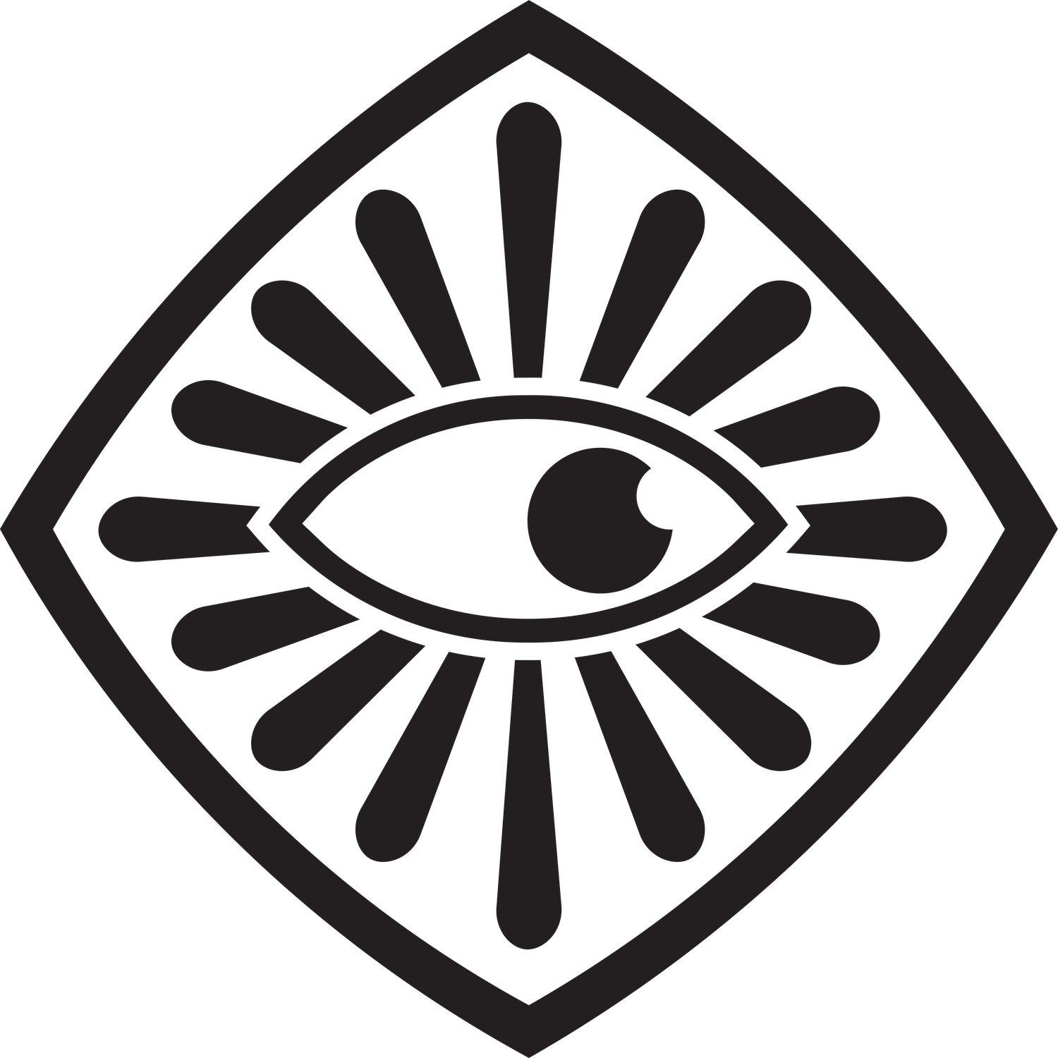 SnaerZenger Projects Logo