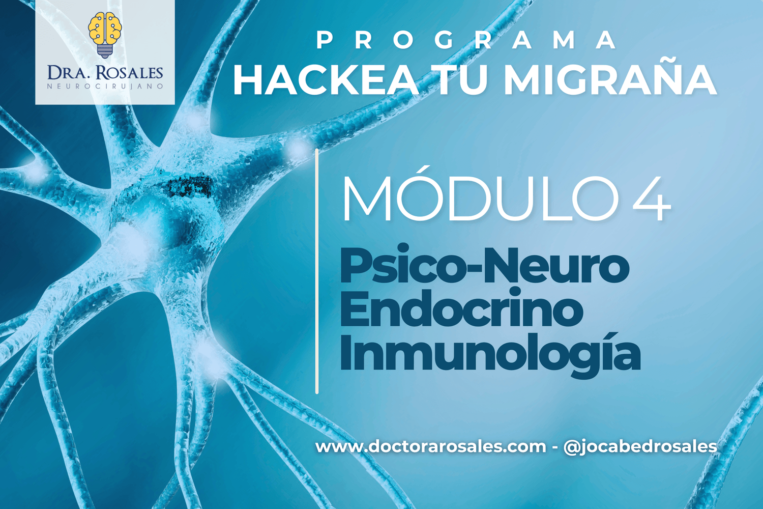 Módulo 1