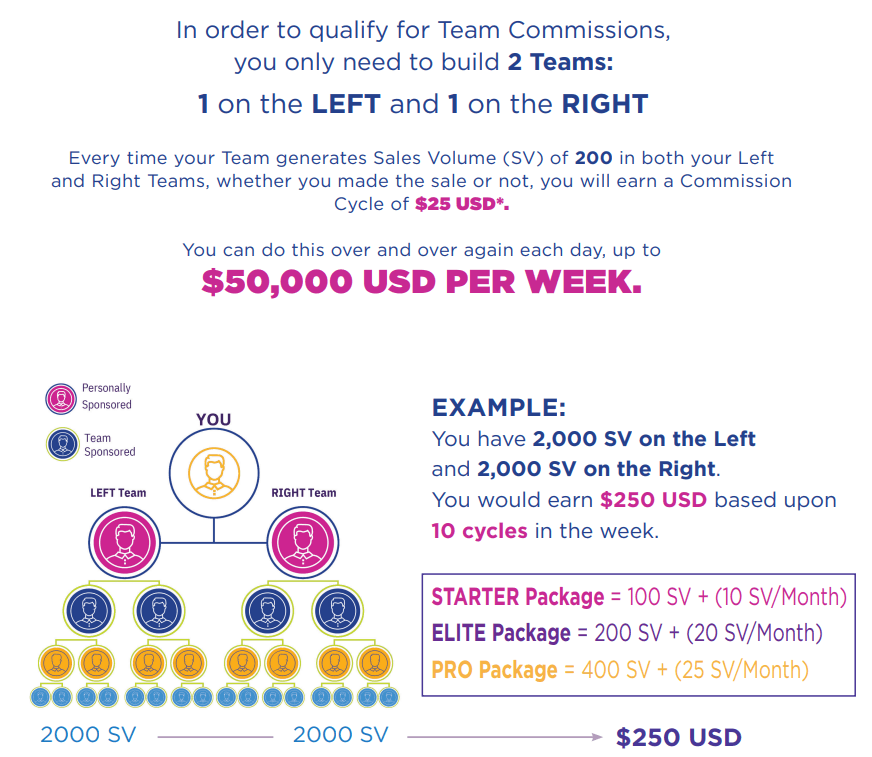 talk fusion review comp plan