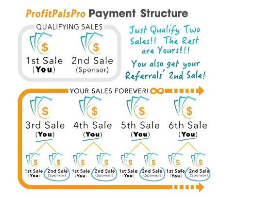 profit pals pro compensation plan review