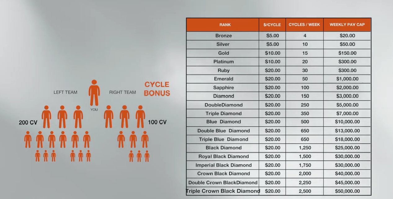 agara compensation plan review binary cycle bonus