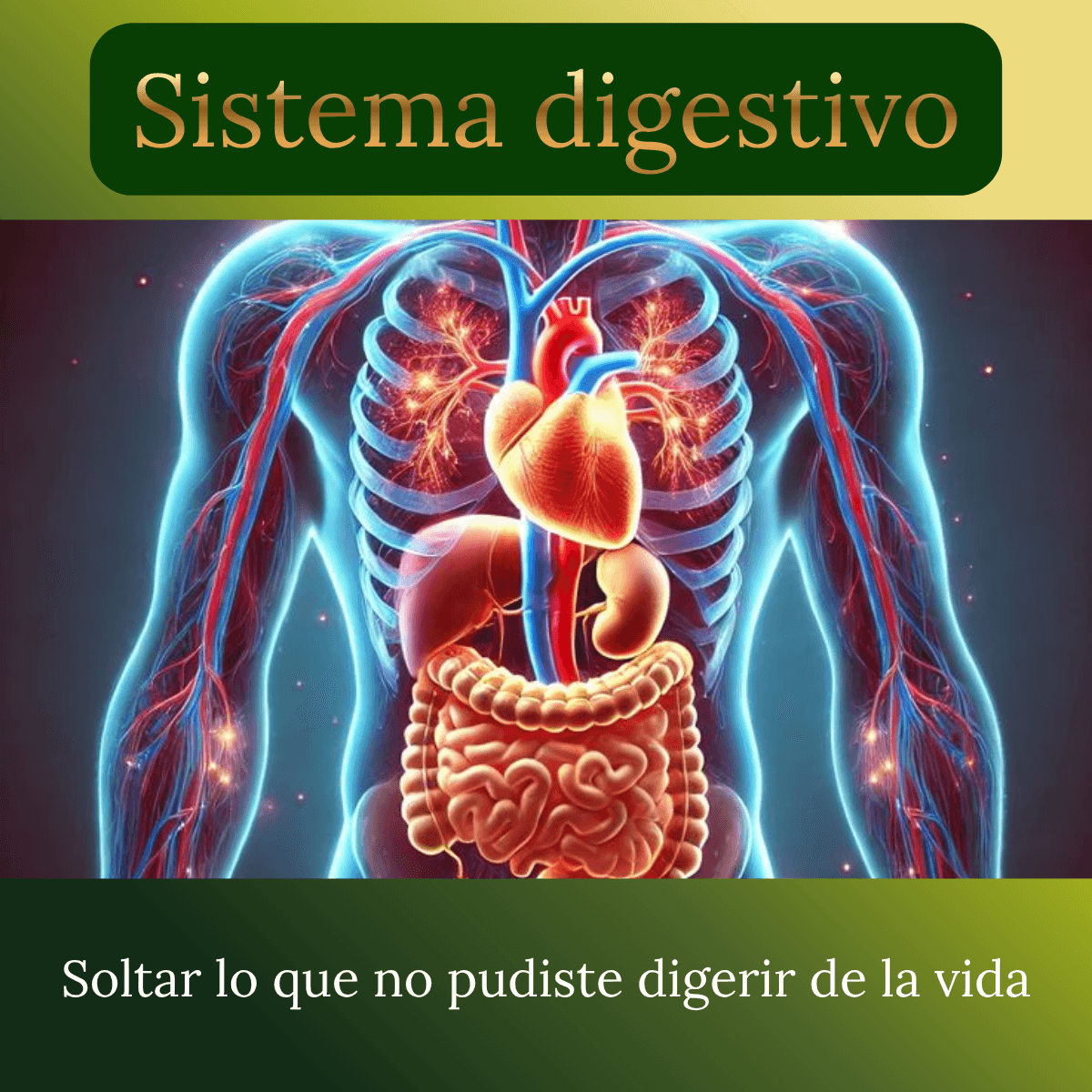 Sistema digestivo