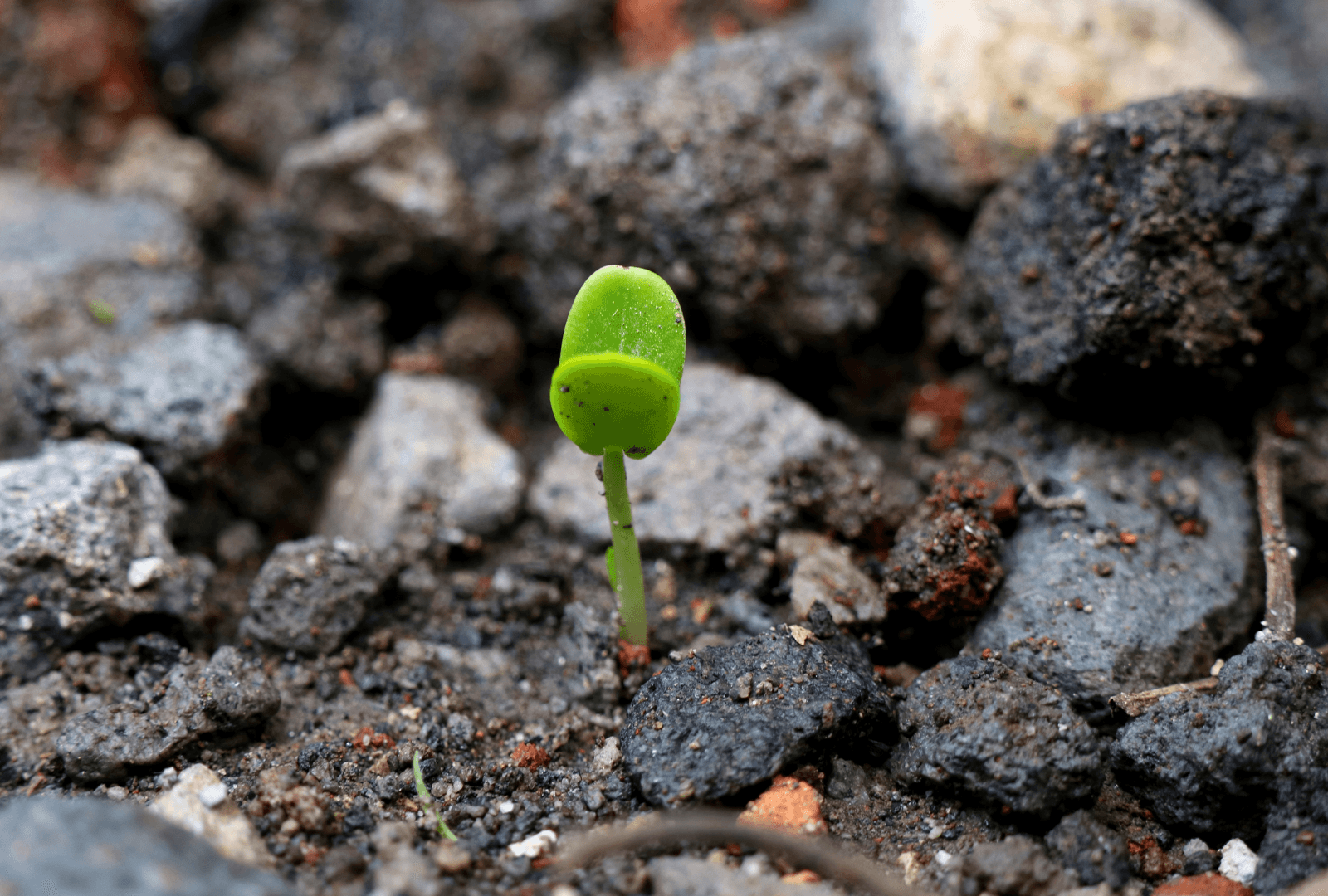 Seed Round