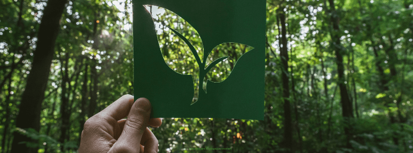Mouvement Écologique Ivoirien (MEI)