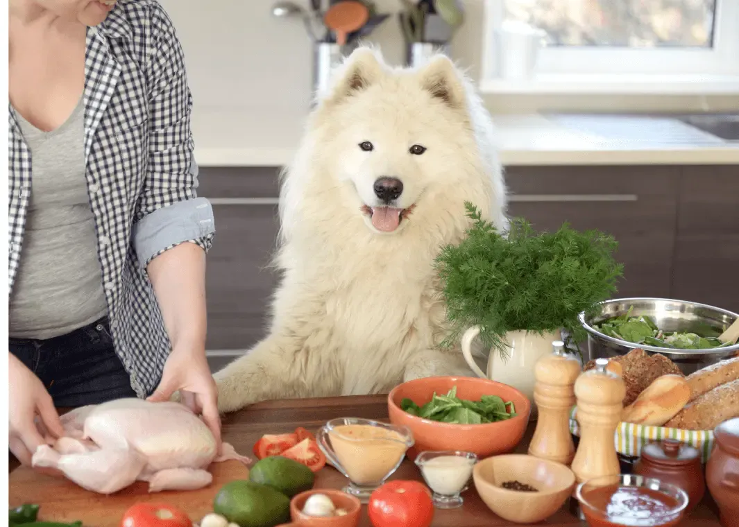 dog mom cooking