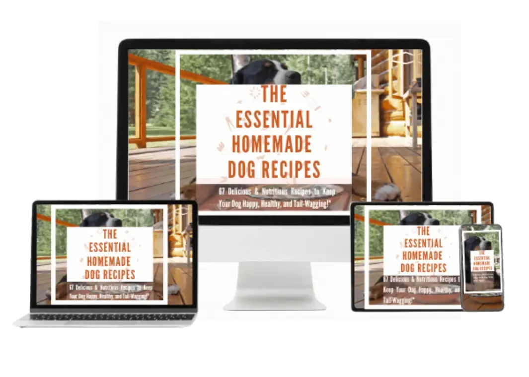 recipes book mockup