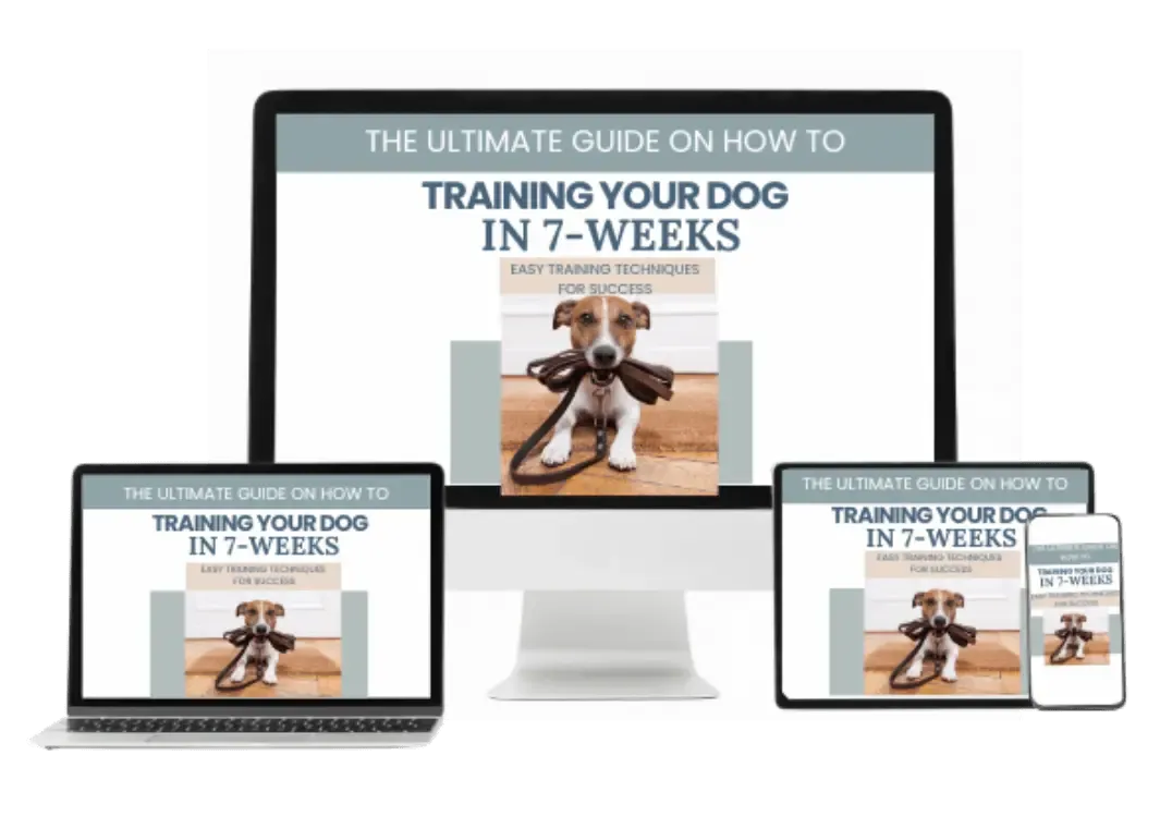 7 weeks training screen mockup
