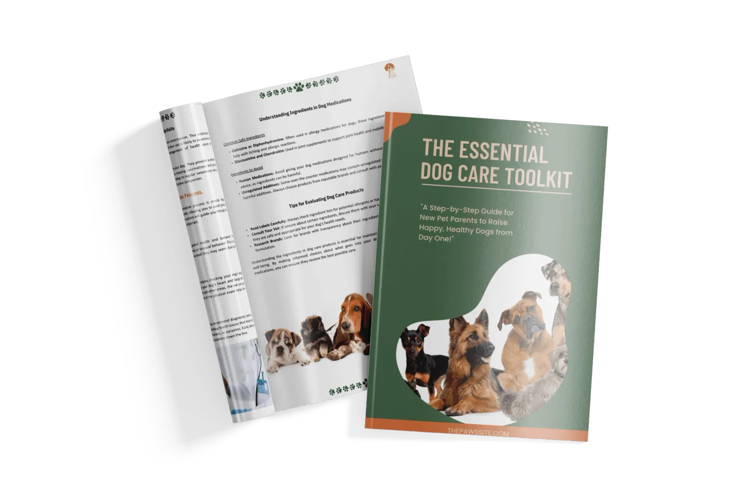 the essential dog care toolkit magazine mockup