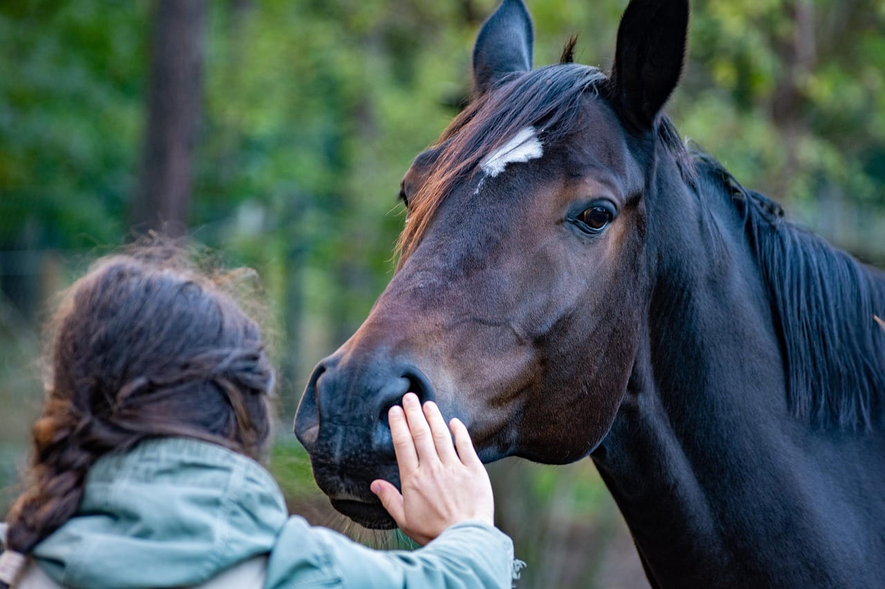 Woman with horse