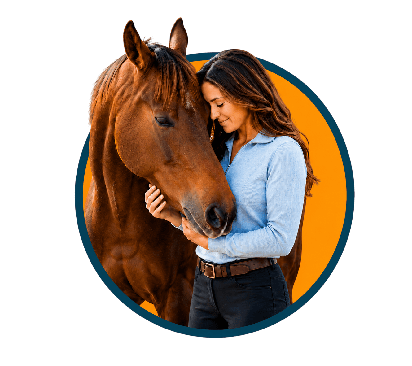 El arte de conectar con caballos