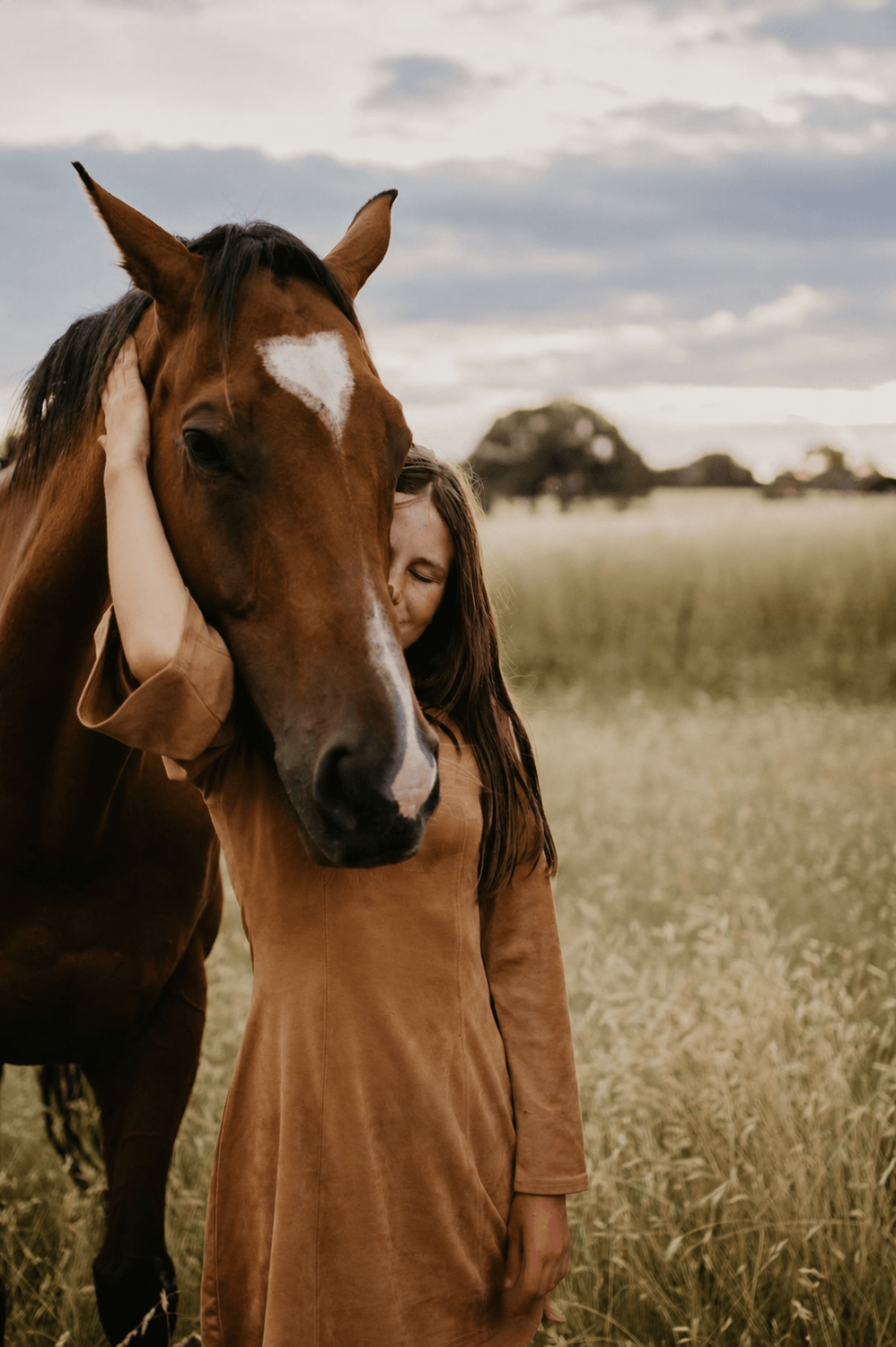 Confianza con el caballo