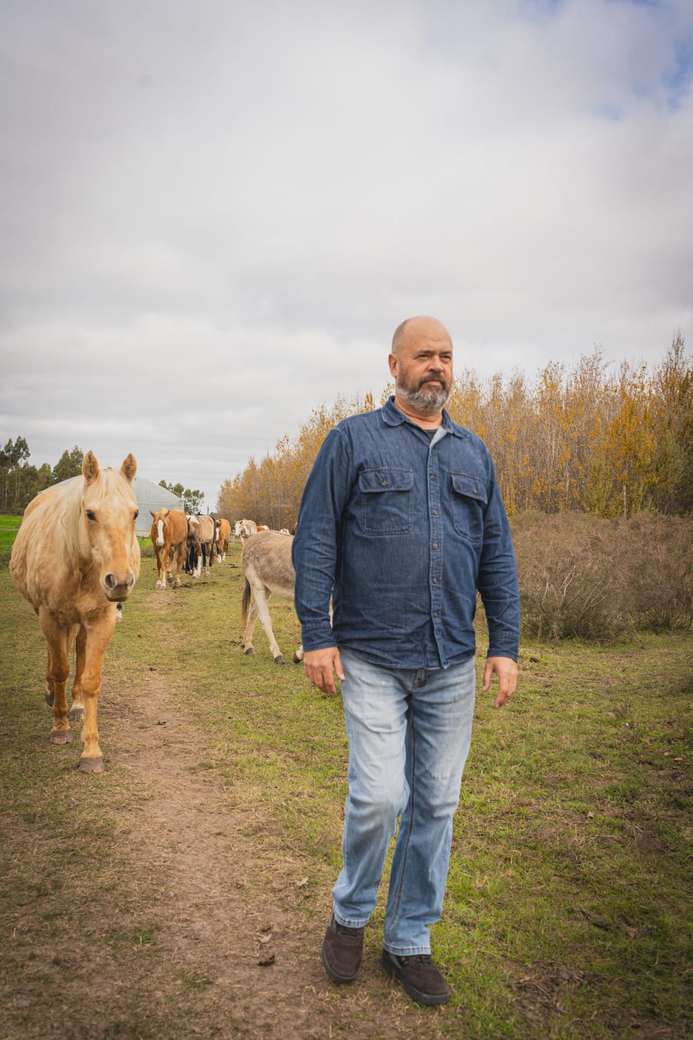 Álvaro con caballos