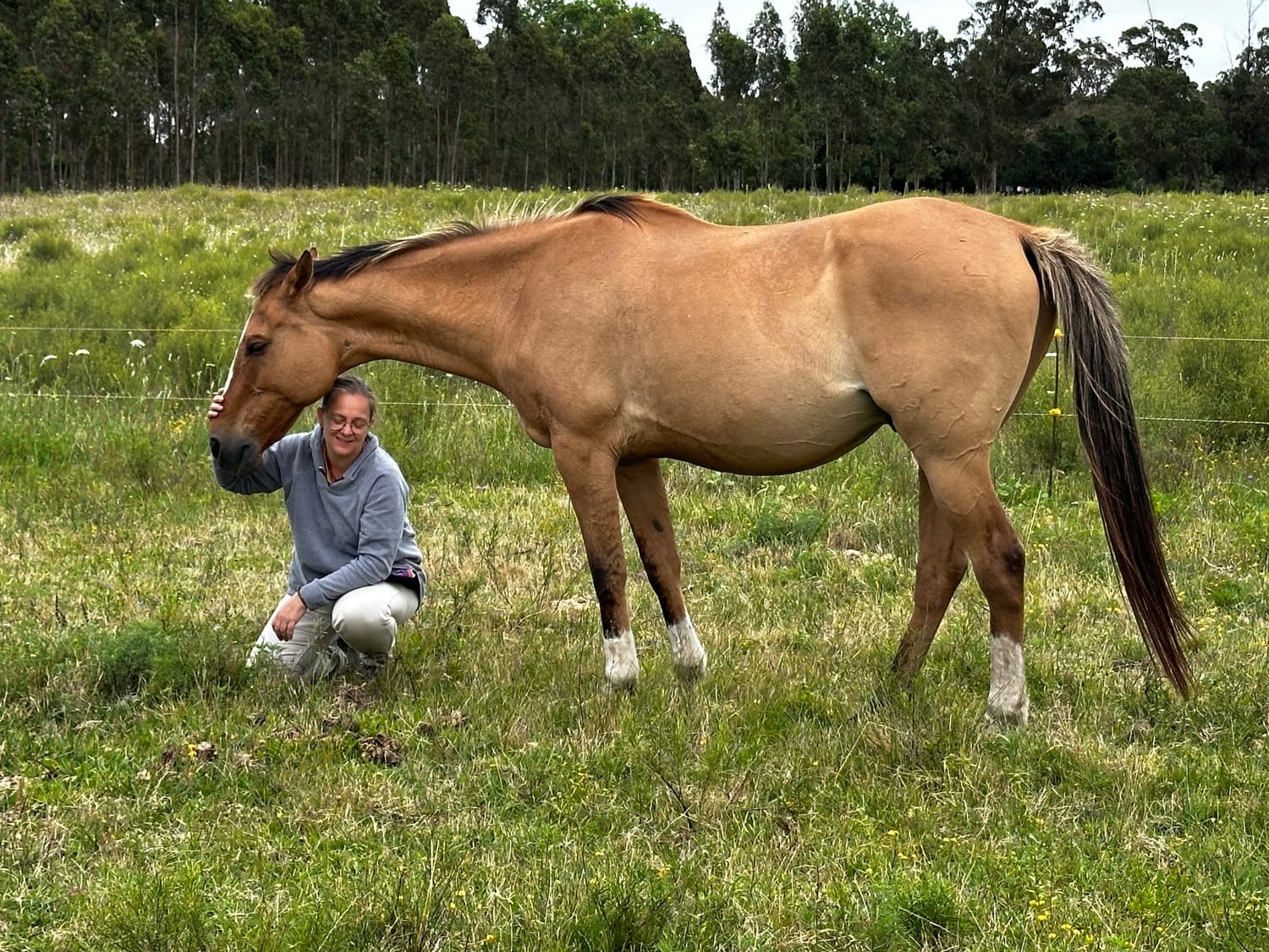 Persona en conexión con un caballo