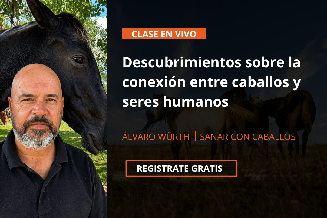 Masterclass gratuita: Los nuevos descubrimientos sobre la conexión entre caballos y seres humanos