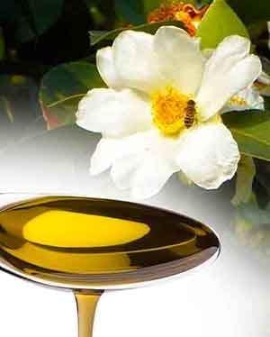 camellia oil