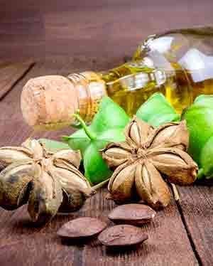 sacha inchi oil