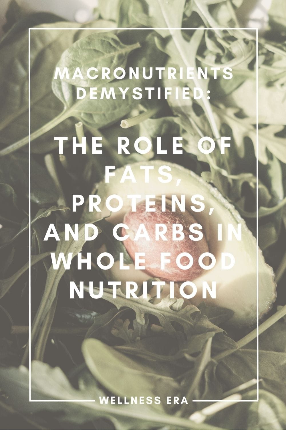 Macronutrients Demystified: The Role of Fats, Proteins, and Carbs in Whole Food Nutrition