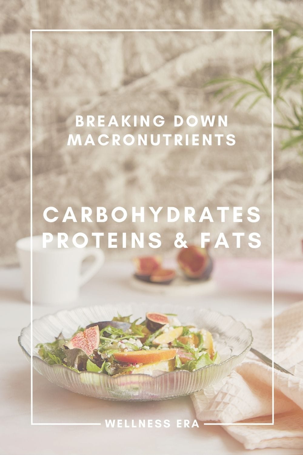 Breaking Down Macronutrients - Carbohydrates, Proteins & Fats