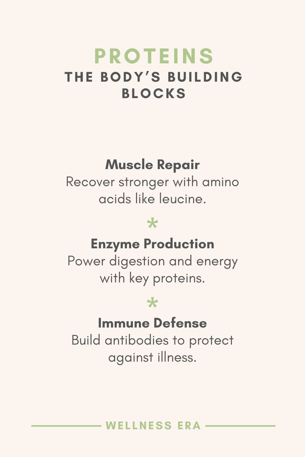 Proteins: The Body’s Building Blocks - Muscle Repair: Recover stronger with amino acids like leucine. - Enzyme Production: Power digestion and energy with key proteins. - Immune Defense: Build antibodies to protect against illness.