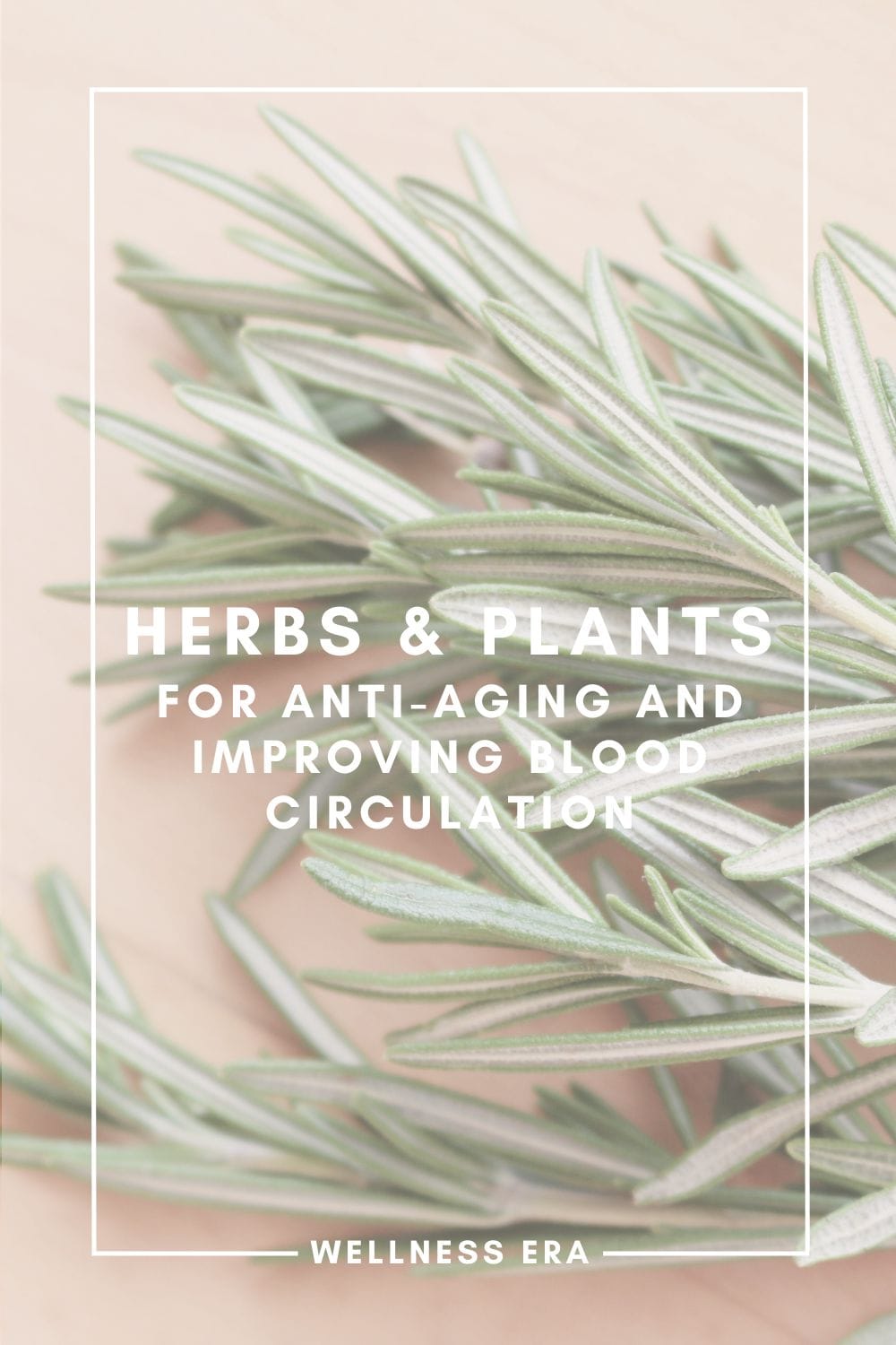 Herbs and Plants for Anti-Aging and improve Blood Circulation