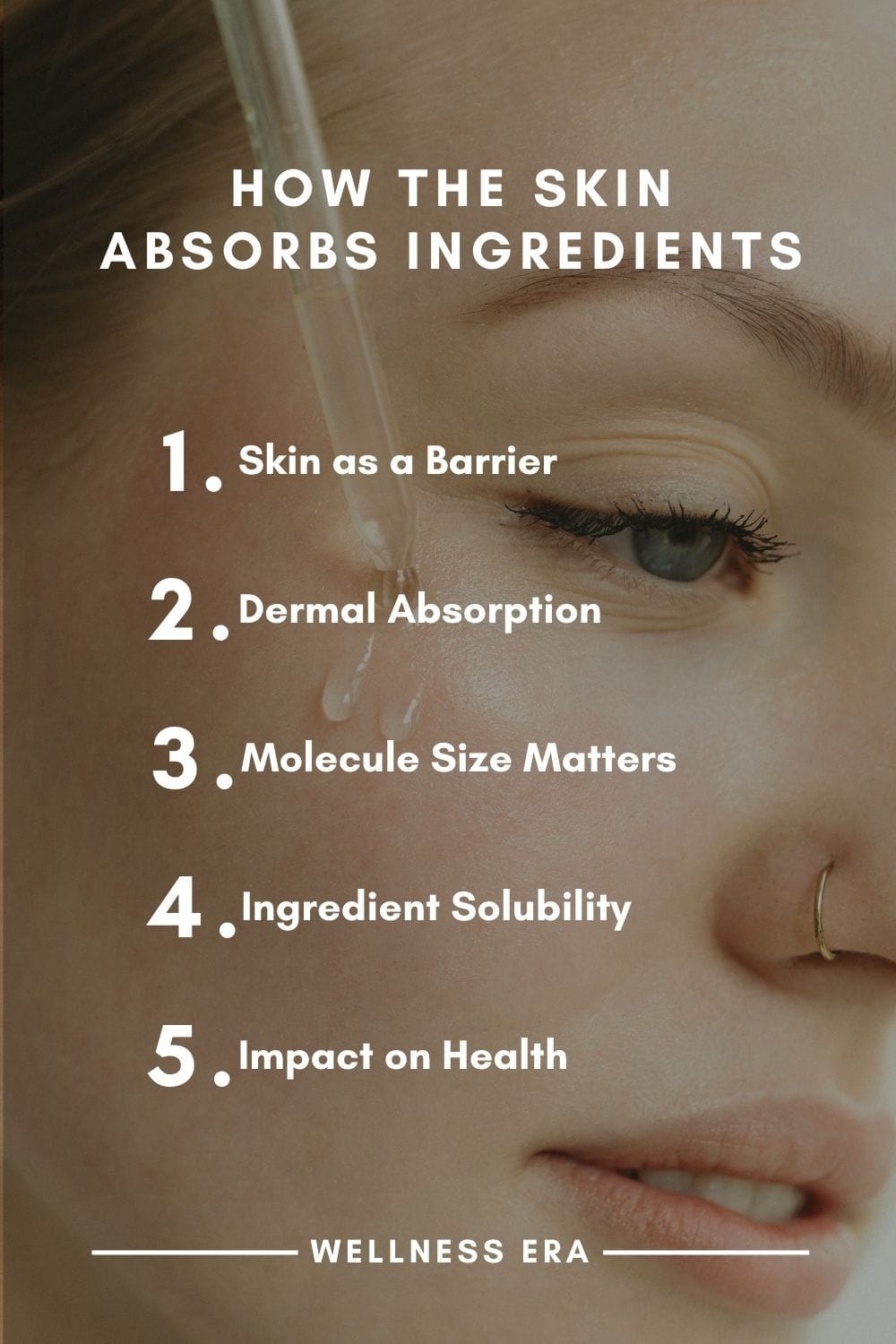 list of explanation How skin absorbs ingredients - Wellness Era